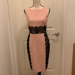 The Limited Pink Lace Dress, 2